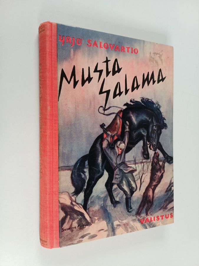 Musta salama : Raisun ratsukon seikkailuja