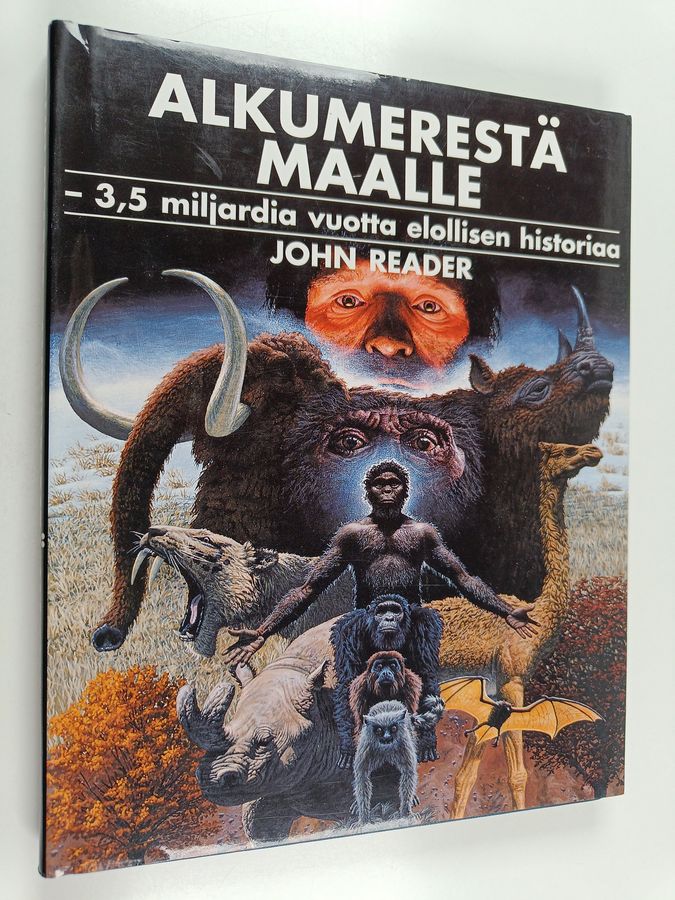 Alkumerestä maalle