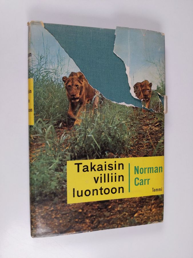Norman Carr : Takaisin villiin luontoon : tarina kahdesta leijonasta
