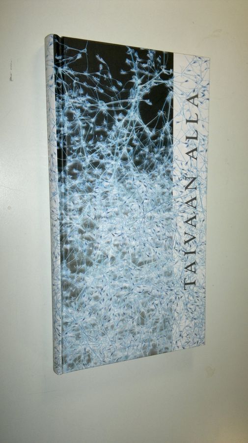 Seppo Järvinen : Taivaan alla : esseitä