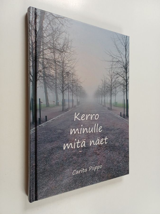 Kerro minulle mitä näet