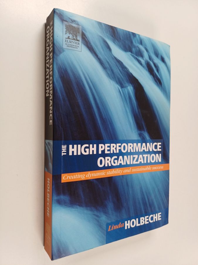 creating dynamic stability and sustainable success