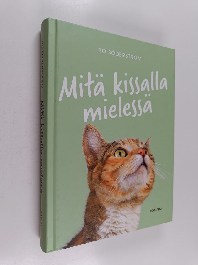 Bo Söderström : Mitä kissalla mielessä