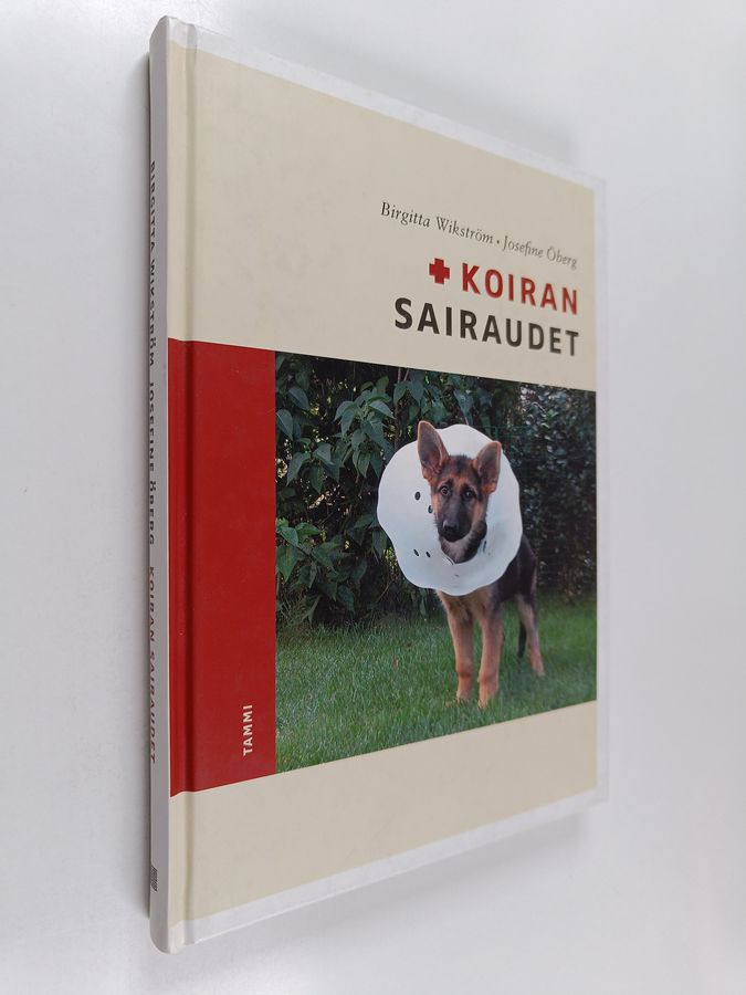 Koiran sairaudet