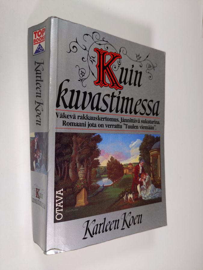 Karleen Koen : Kuin kuvastimessa