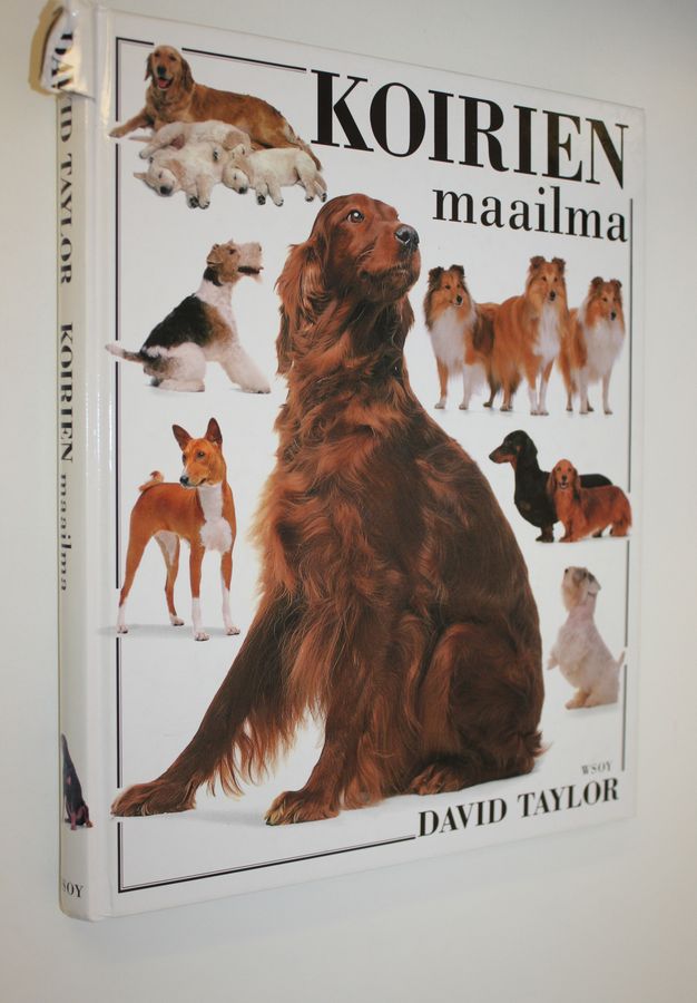 David Taylor : Koirien maailma
