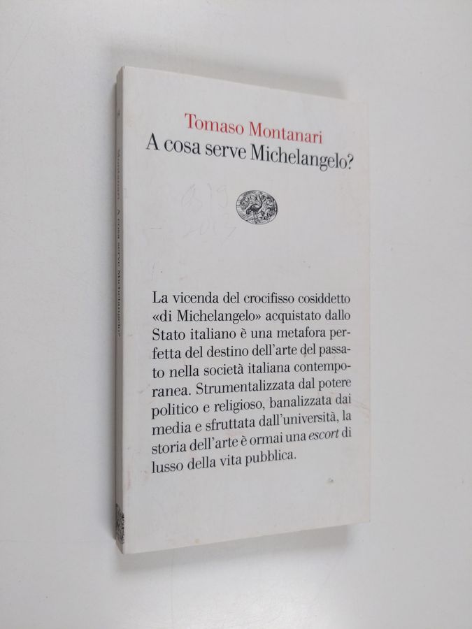 A cosa serve Michelangelo?