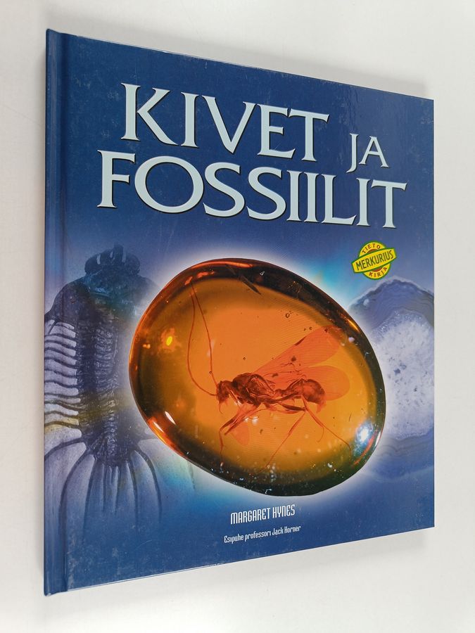 Margaret Hynes : Kivet ja fossiilit