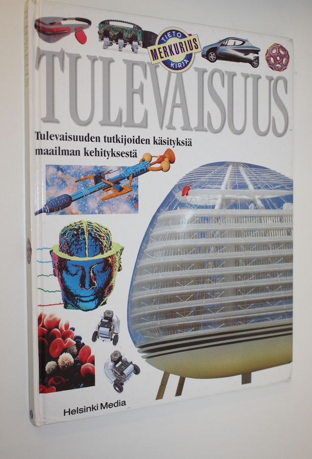 Michael Tambini : Tulevaisuus