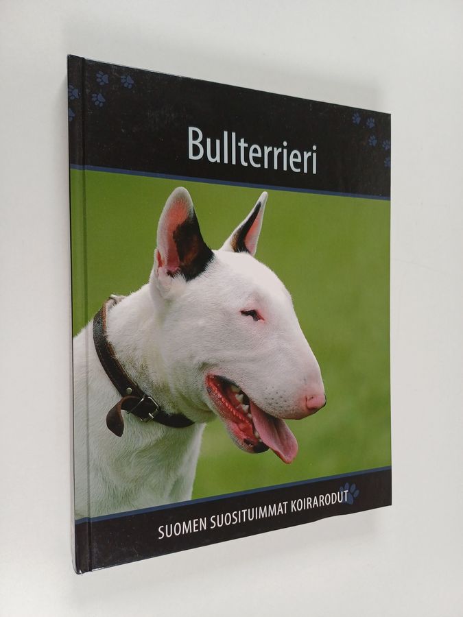 Bullterrieri