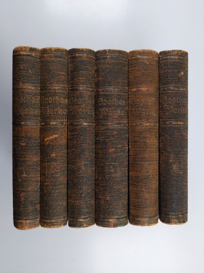 Johann Wolfgang von Goethe : Goethes Werke 1-6 : neue illustrierte Auswahl