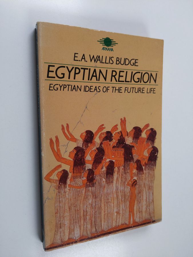 Egyptian ideas in the future life