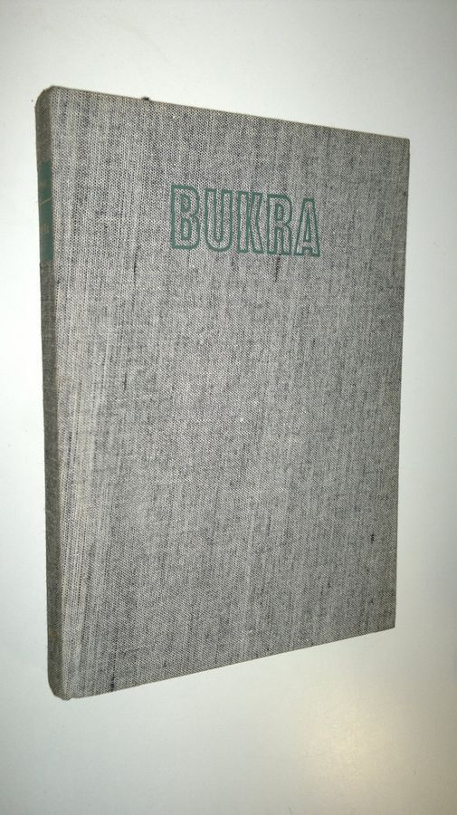 Tuomo Keko : Bukra : näkymiä Lähi-idästä