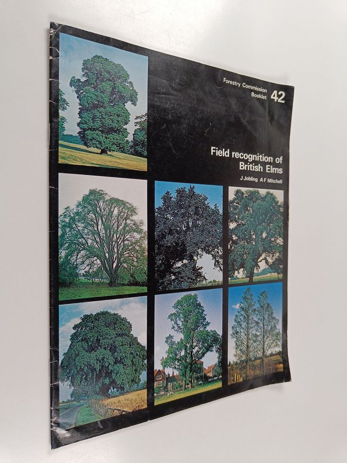 Field Recognition of British Elms