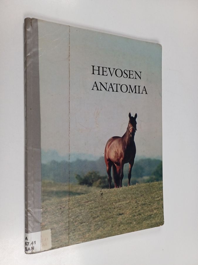 Björn Sandgren : Hevosen anatomia