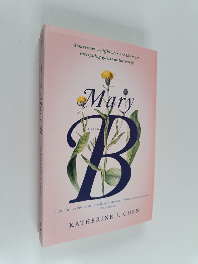 Mary B - A Novel
