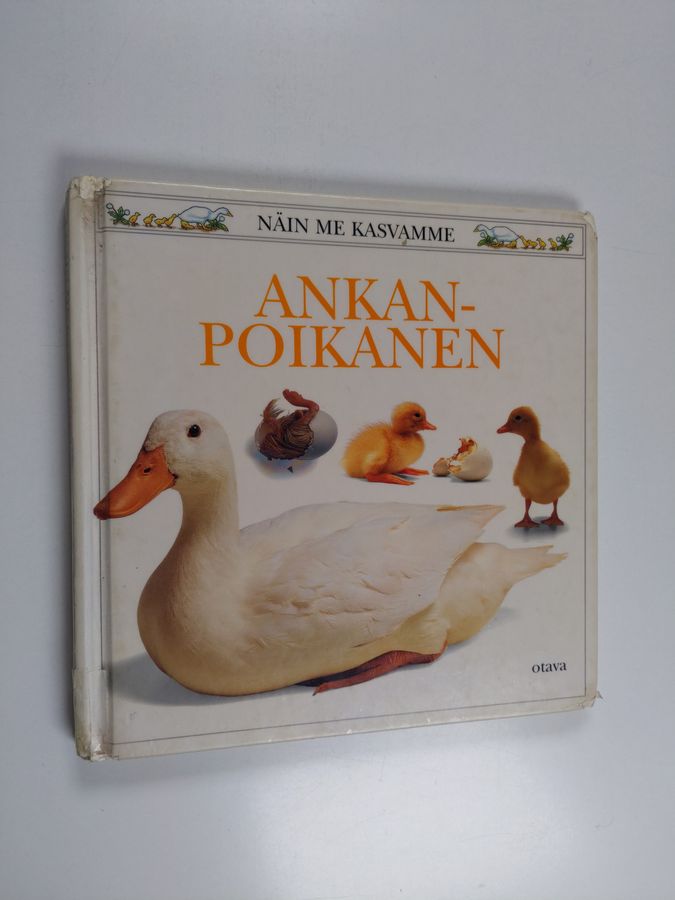 Ankanpoikanen