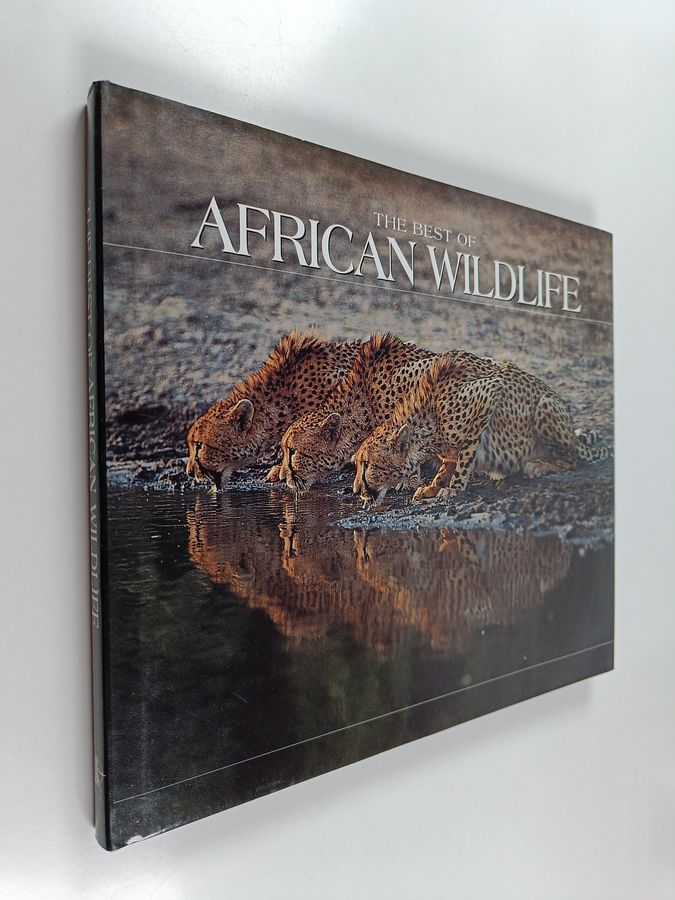 The Best of African Wildlife