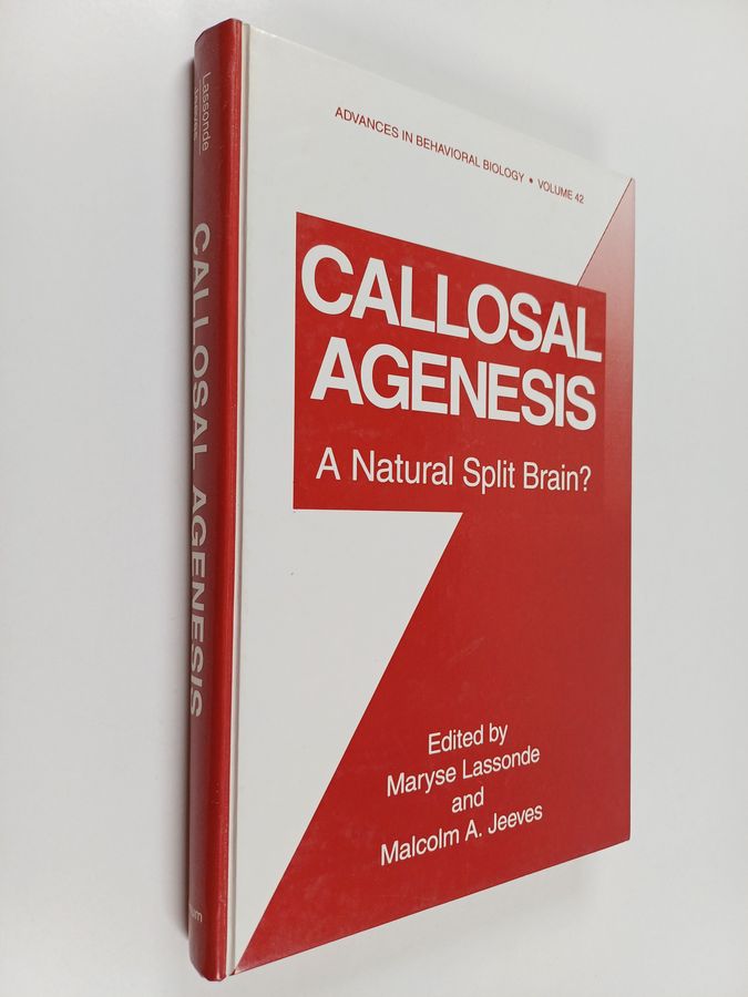 a natural split brain?