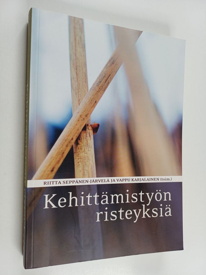 Kehittämistyön risteyksiä