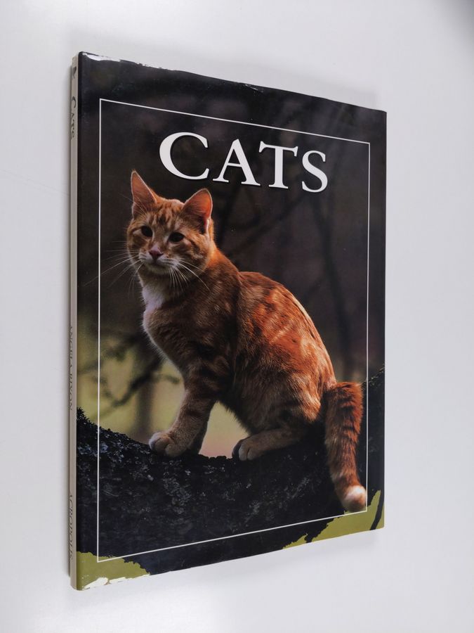 Angela Rixon : Cats