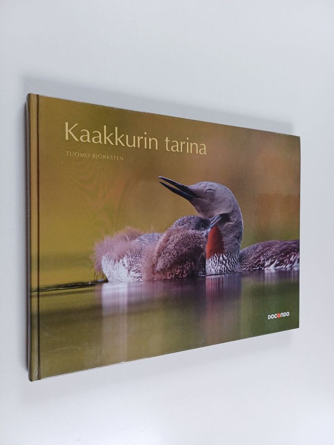 Kaakkurin tarina