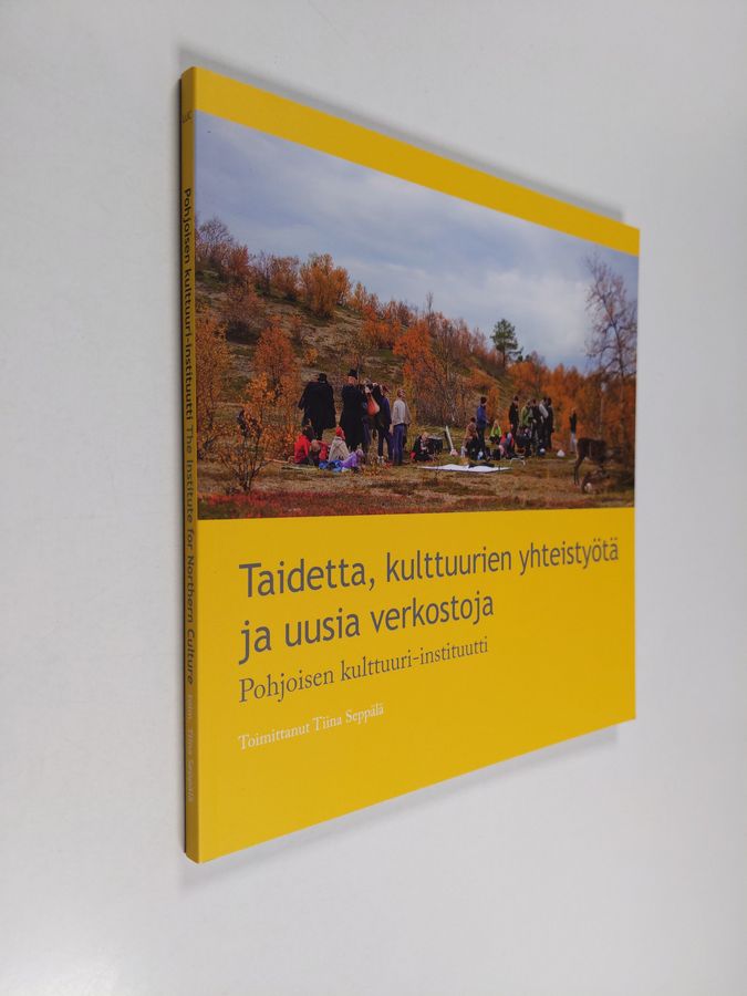 Taidetta, kulttuurien yhteistyötä ja uusia verkostoja