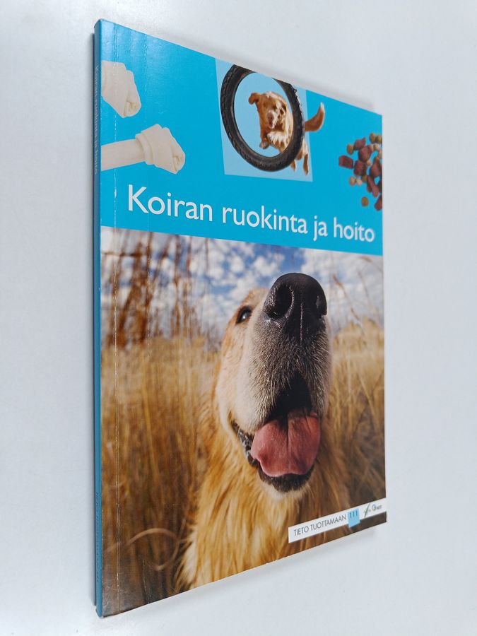Koiran ruokinta ja hoito