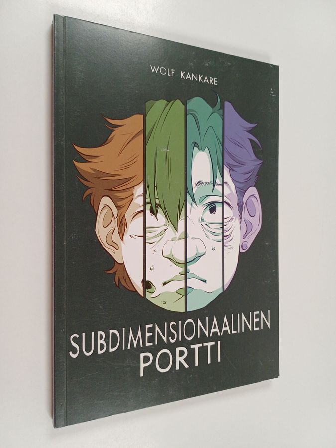Subdimensionaalinen portti