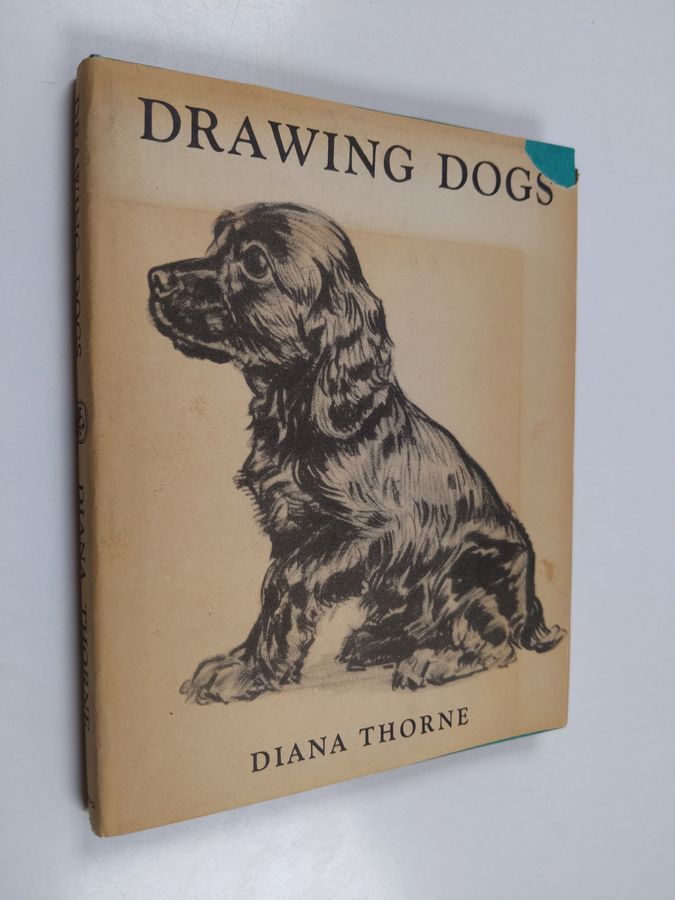 Drawing dogs
