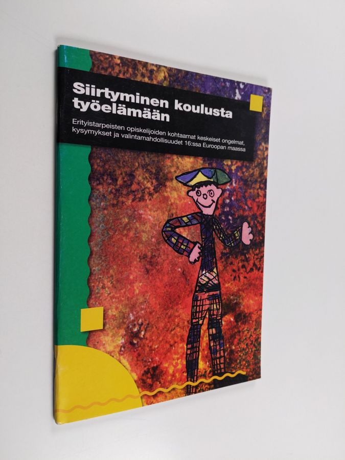Siirtyminen koulusta työelämään - erityistarpeisten opiskelijoiden kohtaamat keskeiset ongelmat, kysymykset ja ...