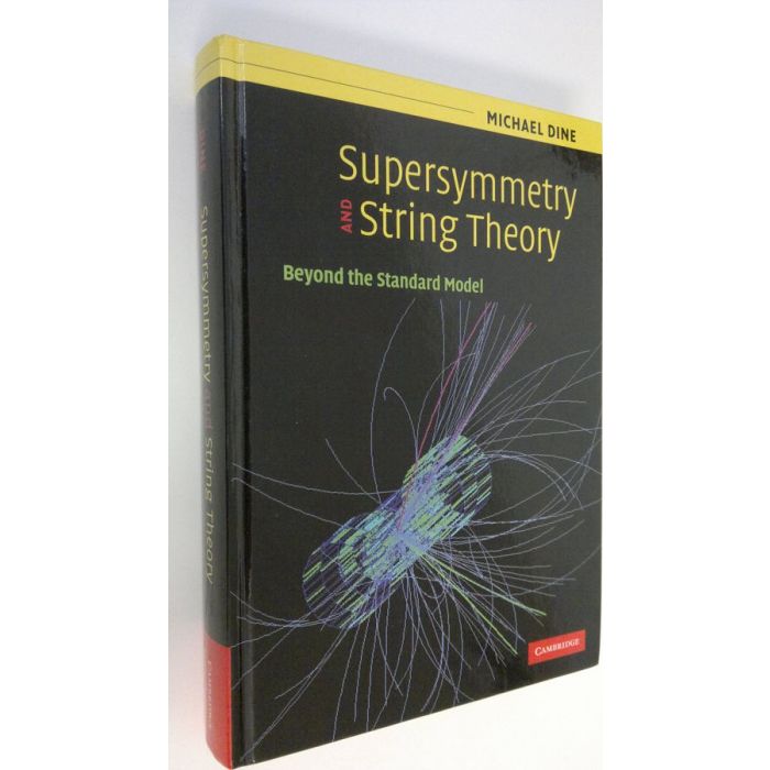 Order Dine: Supersymmetry and String Theory : Beyond the Standard