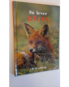 Kirjailijan Ulf Svedberg käytetty kirja Så lever Räven (ERINOMAINEN)