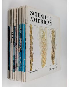 käytetty teos Scientific American vuosikerta 1981 (1-12)