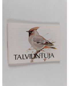 käytetty teos Talvilintuja