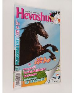 käytetty teos Hevoshullu 12/2011