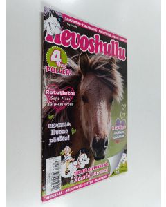 käytetty teos Hevoshullu 12/2019