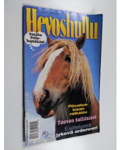 käytetty teos Hevoshullu 19/2000