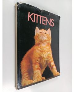 Kirjailijan Pat Taylor käytetty kirja Kittens