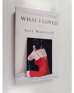Kirjailijan Siri Hustvedt käytetty kirja What I loved