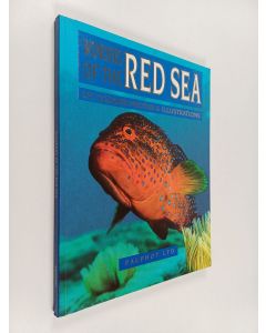 Kirjailijan David Fridman käytetty kirja Wonders of the Red sea