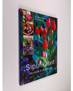Kirjailijan Susanna Rosen käytetty kirja Sipulikasvit ruukussa ja puutarhassa