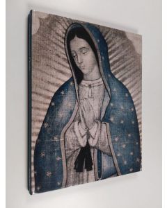 Kirjailijan Meeri Koutaniemi käytetty kirja Oasis