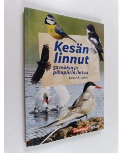Kirjailijan Lasse J. Laine käytetty kirja Kesän linnut : 50 mökin ja pihapiirin lintua