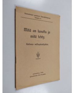käytetty teos Mitä on luvattu ja mitä tehty - katsaus valtiopäivätyöhön