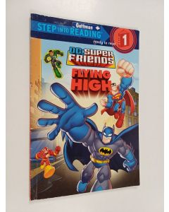 käytetty kirja DC Super Friends : Flying High