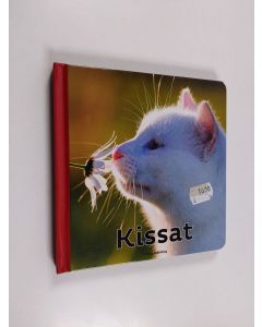käytetty kirja Kissat