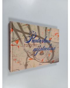 Kirjailijan Rea Peltola käytetty kirja Puutarhuri nojatuolissa : iloja, neuvoja, löytöretkiä