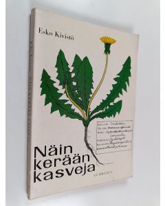 Kirjailijan Esko Kivistö käytetty kirja Näin kerään kasveja
