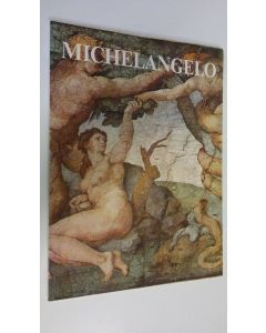 Kirjailijan Froukje Hoekstra käytetty kirja Michelangelo